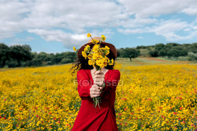 Anonyme Frau mit Hut bedeckt Gesicht mit blühenden gelben Blumen in der Landschaft Feld unter bewölktem Himmel — Stockfoto