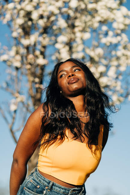 Low angle of beautiful African American female standing in blooming spring park and enjoying sunny weather looking away — Stock Photo