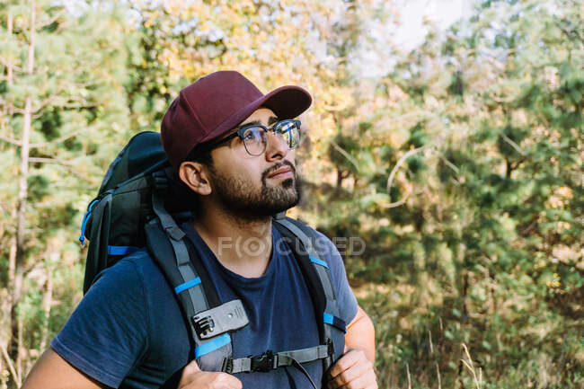Coltivazione di barbuto zaino in spalla maschile in berretto passeggiando tra alberi e piante nei boschi nella giornata di sole — Foto stock