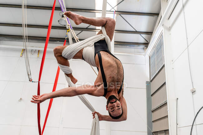 Deportista flexible sin camisa de cuerpo entero colgando boca abajo en sedas aéreas y mirando a la cámara mientras hace ejercicio en un gimnasio ligero - foto de stock