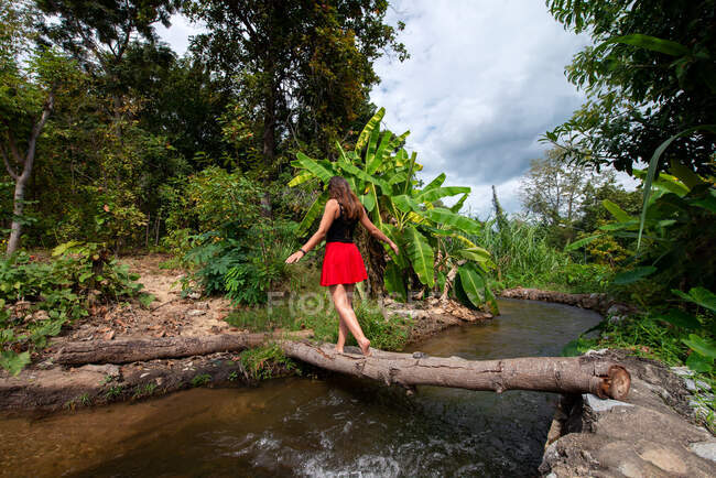 Visão traseira de anônimo turista feminino passeando em tronco de árvore caído sobre rio estreito entre árvores tropicais na Tailândia — Fotografia de Stock