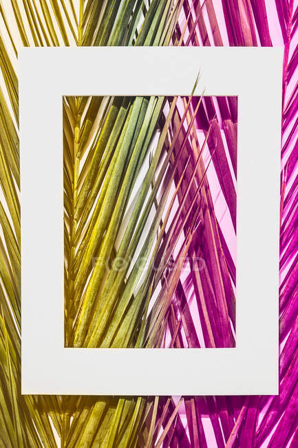 Leerer weißer Rahmen, der an hell gefärbten grünen und lila exotischen Pflanzen im Tageslicht hängt — Stockfoto