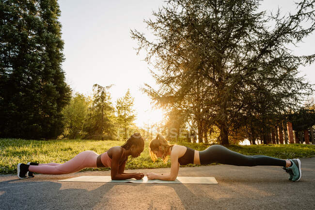 Vue latérale de sportives sportives multiraciales faisant de l'exercice de planche sur tapis tout en s'entraînant ensemble au coucher du soleil dans un parc d'été — Photo de stock