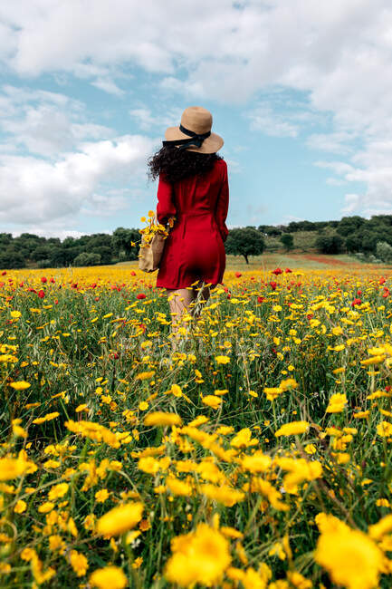 Vista posterior femenina anónima de moda en vestido rojo, sombrero y bolso de mano de pie en el campo de flores con flores amarillas y rojas en el cálido día de verano - foto de stock