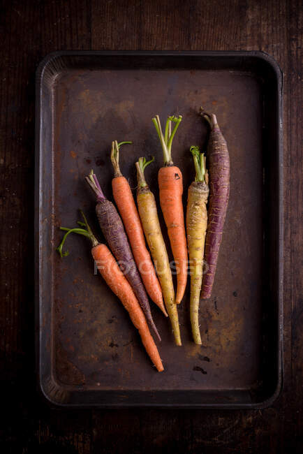 Сверху подноса для выпечки с различными целыми неочищенными моркови со стеблями на коричневом фоне — стоковое фото