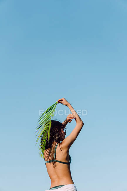 Visão traseira da jovem fêmea em sutiã com folhagem de palmeira verde atrás da cabeça olhando para o fundo azul — Fotografia de Stock