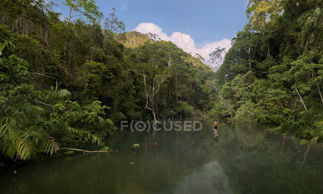 Vista posterior del turista masculino anónimo en el tronco reflejándose en el agua entre los exuberantes árboles verdes tropicales en Tailandia - foto de stock