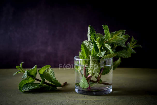 Green mint sprigs with aromatic leaves in transparent glass with pure aqua on dark background — Stock Photo