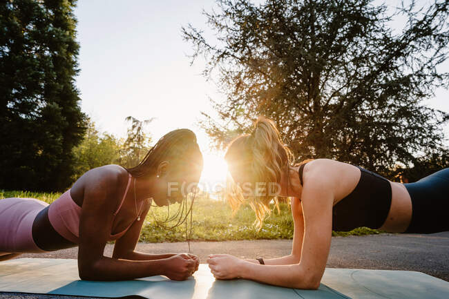 Вид сбоку атлетических многорасовых спортсменок, выполняющих упражнения на доске на ковре во время совместной тренировки на закате в летнем парке — стоковое фото