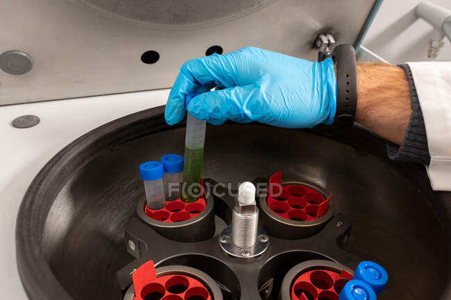 Culture d'un chimiste masculin anonyme mettant des tubes d'échantillon dans une machine centrifuge dans un laboratoire de cannabis — Photo de stock