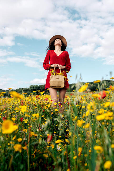 De baixo da fêmea feliz em sundress vermelho, chapéu e bolsa de pé com os olhos fechados no campo florescente com flores amarelas e vermelhas desfrutando no dia quente de verão da primavera — Fotografia de Stock