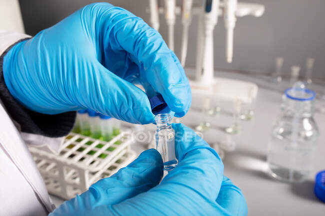 Cultivo científico anónimo en guantes desechables con líquido en una pequeña botella transparente que trabaja en laboratorio - foto de stock