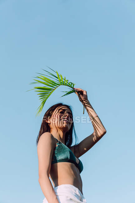 Jeune femelle en soutien-gorge avec un feuillage de palmier vert derrière la tête regardant loin sur fond bleu — Photo de stock