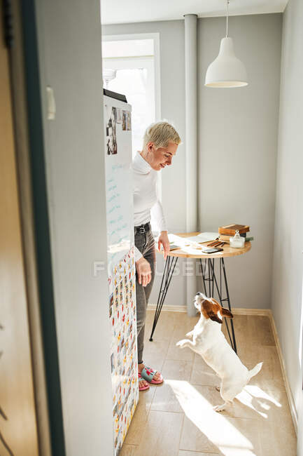 Содержание женщины-астролога играть с маленькой чистокровной собакой, глядя друг на друга в доме — стоковое фото