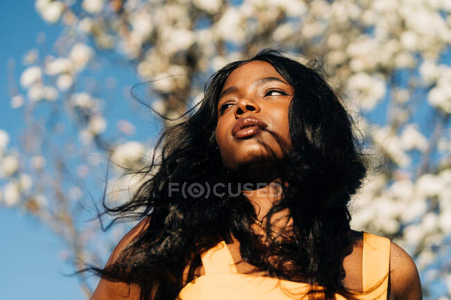 Bajo ángulo de hermosa mujer afroamericana de pie en el floreciente parque de primavera y disfrutando del clima soleado mirando hacia otro lado - foto de stock