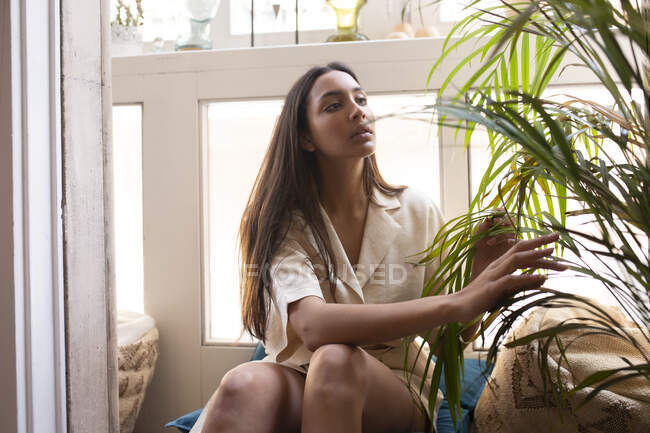 Young calm female in casual clothes removing dry leaves of lush potted houseplant while sitting on pillows near window at home — Stock Photo