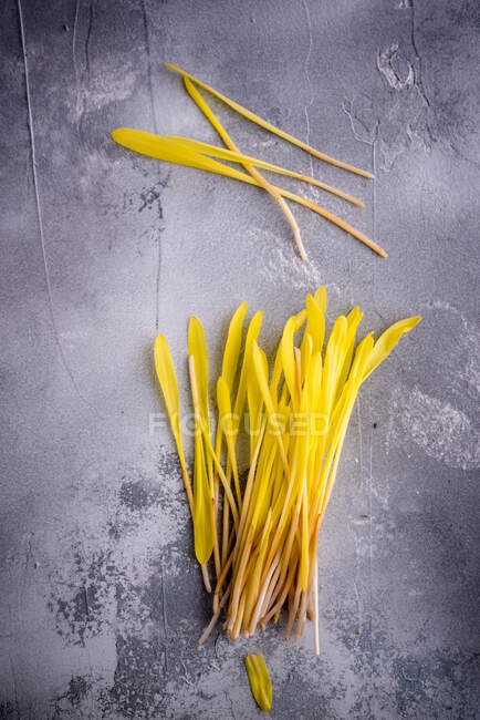 Draufsicht auf Haufen sanft blühender gelber Blütenblätter auf grauem Hintergrund mit Flecken — Stockfoto