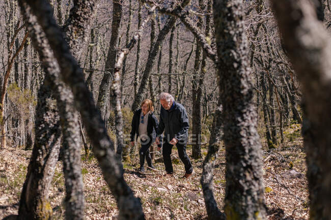 Alto angolo di anziano uomo e donna escursioni insieme nella natura e camminando sul pendio con alberi senza foglie — Foto stock