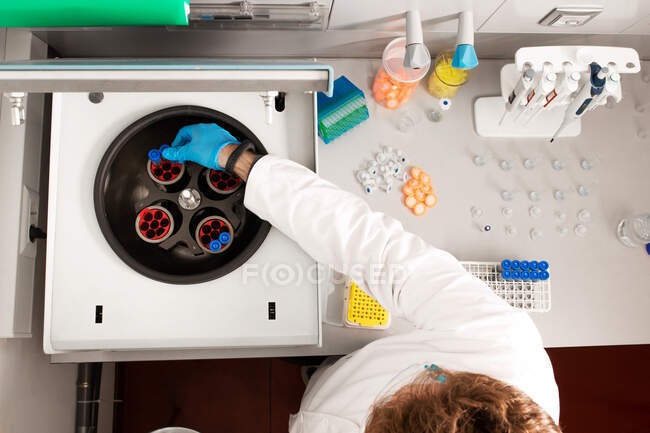 Vista superior de cultivo anónimo químico masculino poniendo tubos de muestra en la máquina centrífuga en el laboratorio de cannabis - foto de stock