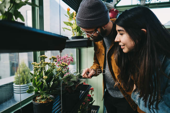 Contenido elegante pareja abrazando en invernadero, mientras que de pie cerca de estante y recoger flor en maceta floreciente - foto de stock