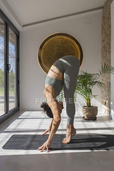 Vista lateral da fêmea flexível em roupas esportivas mostrando Uttanasana posar nos dedos do pé enquanto pratica ioga em casa — Fotografia de Stock