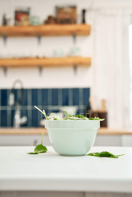 Green spinach foliage with veins and stems in bowl on white surface — Stock Photo