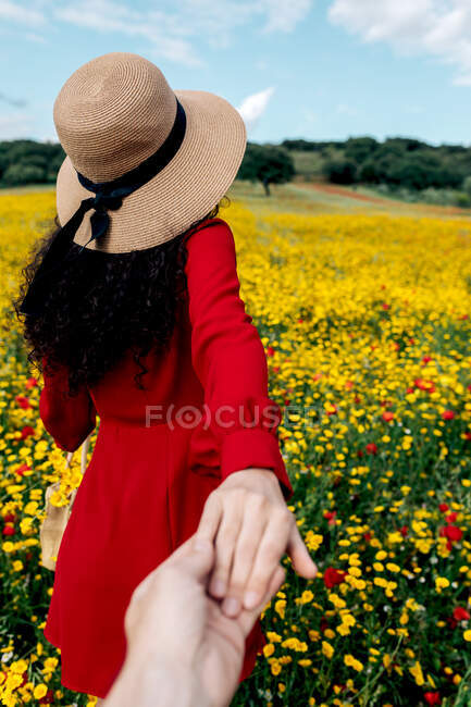 Anonymous female in flower wreath holding crop beloved by hand on meadow with blossoming daisies under blue sky — Stock Photo
