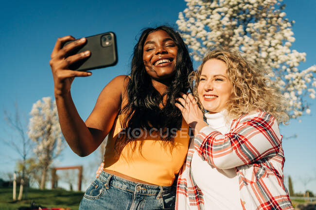 Низький кут веселих багаторасових жінок кращих друзів, які приймають весняний сад і знімають себе на смартфон у сонячний день — стокове фото