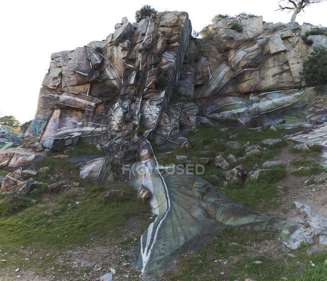 Творческий элемент граффити птиц на грубой скалистой скале в горной местности — стоковое фото