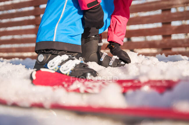 Side view crop anonymous skiers in warm sportswear putting on skis while standing on snowy ground in winter countryside — Stock Photo