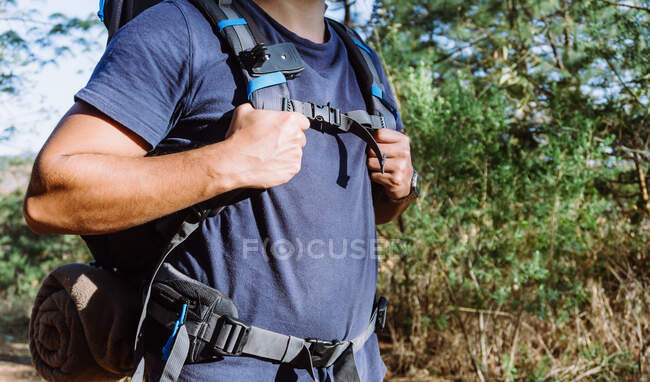 Anonymous bearded male backpacker in cap walking among trees and plants in woods in sunny day — Stock Photo