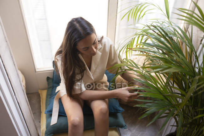 De cima fêmea calma jovem em roupas casuais removendo folhas secas de planta de casa envasada exuberante enquanto sentado em travesseiros perto da janela em casa — Fotografia de Stock