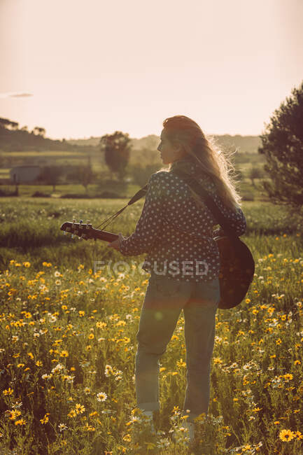 Обратный вид неузнаваемой молодой хипстерши, стоящей на лугу в сельской местности и играющей на гитаре во время летнего солнечного света — стоковое фото