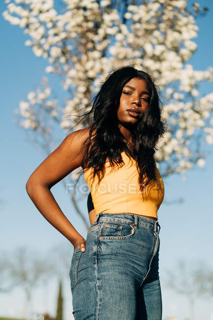 Bajo ángulo de hermosa mujer afroamericana de pie en el floreciente parque de primavera y disfrutando del clima soleado mirando a la cámara - foto de stock
