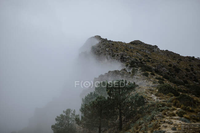 Brume épaisse rampant sur une pente de montagne boisée rugueuse par temps couvert et sombre à Séville Espagne — Photo de stock