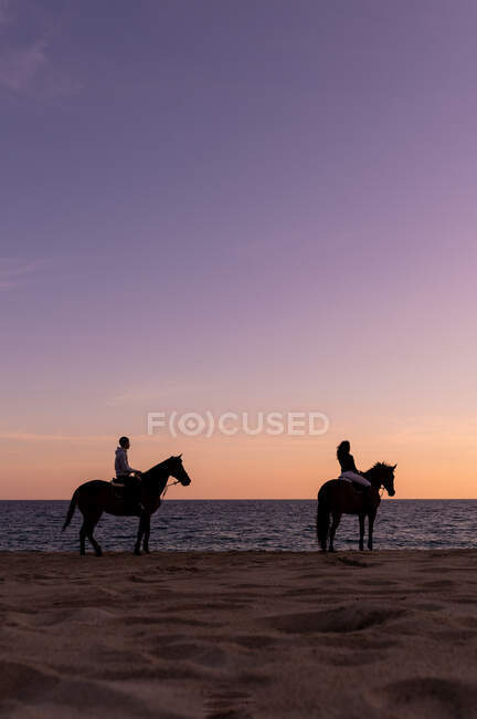 Seitenansicht des anonymen Paares Silhouetten auf Stuten betrachten endlosen Ozean von Sandstrand bei Sonnenuntergang — Stockfoto