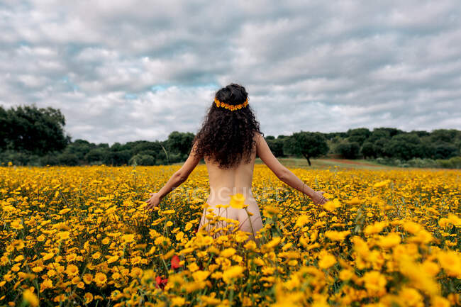 Vue arrière de brunette nue anonyme en couronne de fleurs profitant d'une prairie avec des marguerites fleuries sous un ciel nuageux en été — Photo de stock