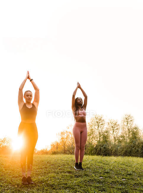 Empresa de ajuste fêmeas equilibrando em pose de árvore e praticando ioga juntos no gramado no parque ao pôr do sol — Fotografia de Stock