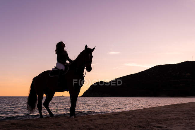 Vue latérale de la jeune silhouette féminine sur jument contemplant l'océan depuis le rivage sablonneux au coucher du soleil — Photo de stock