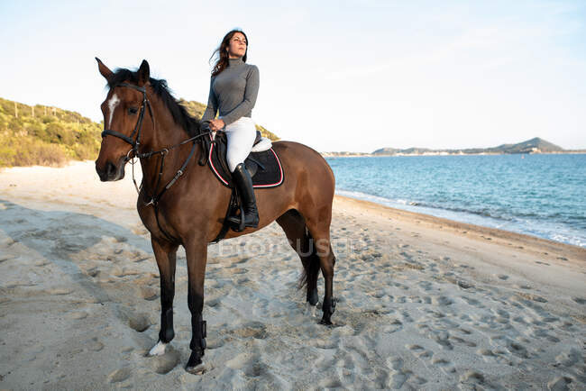 Young female looking away while riding chestnut horse on sandy sea shore against mount under light sky — Stock Photo