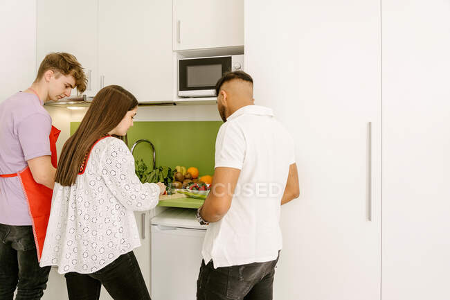 Back view of young multiracial best friends in casual outfits cutting fruits while preparing delicious healthy food in kitchen — Photo de stock