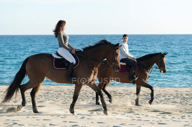 Side view of young woman with boyfriend riding purebred stallions on sandy shore against wavy ocean under blue sky — Stock Photo