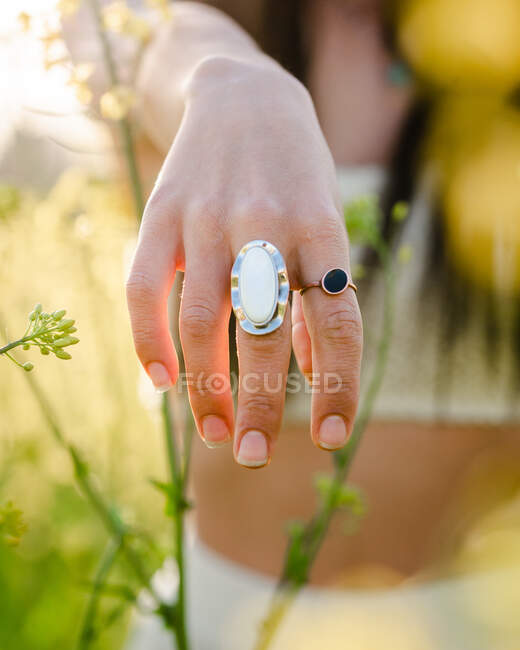 Ritaglia anonima mano femminile allungamento con anelli alla moda mentre in piedi su un prato lussureggiante nella campagna soleggiata — Foto stock