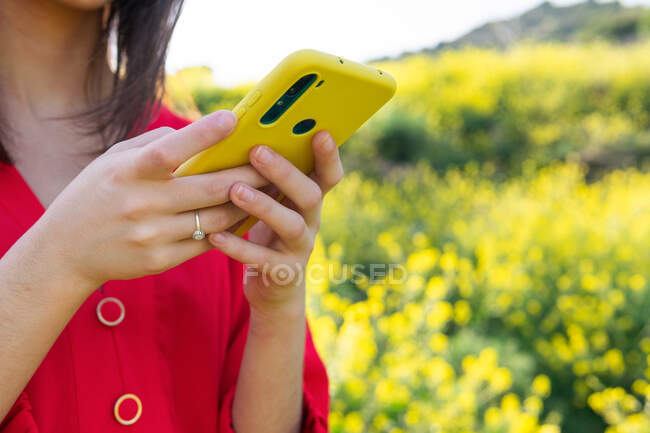 Mulher de colheita em vestuário vermelho mensagens de texto no celular contra plantas florescentes na luz solar — Fotografia de Stock