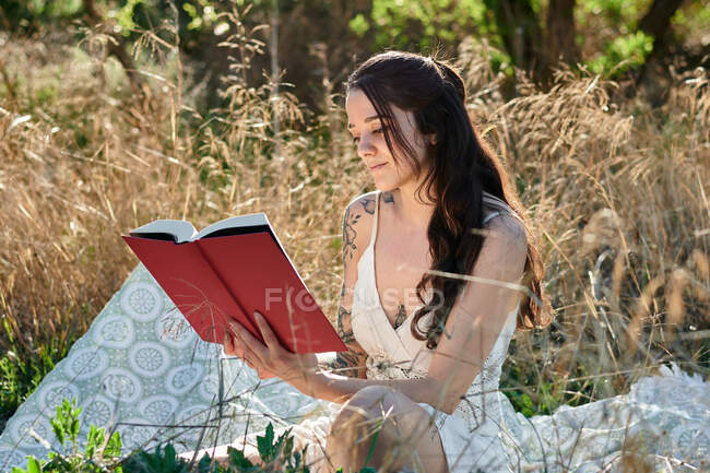 Dreamy charming brunette in white dress sitting on field meadow and reading book in sunlight - foto de stock