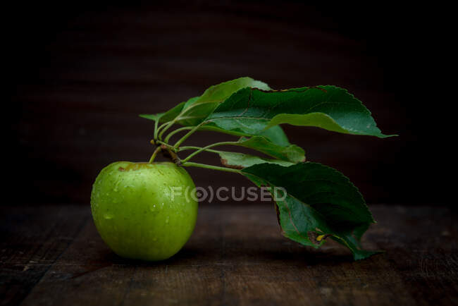 Manzana verde madura entera con follaje y pequeñas gotas de agua puras sobre fondo negro - foto de stock