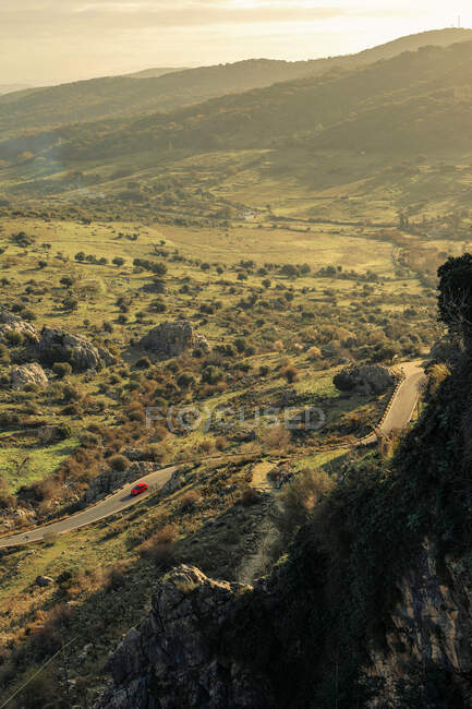 Vue aérienne de la petite route goudronnée rurale située sur un terrain herbeux et luxuriant dans la campagne vallonnée de Séville, Espagne — Photo de stock