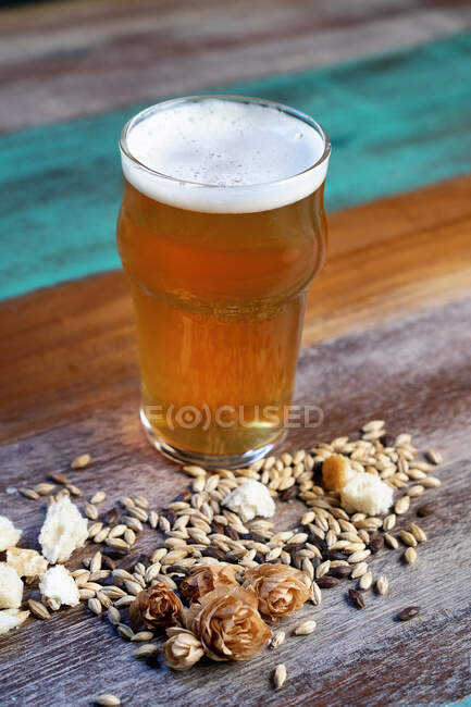 Стеклянный кувшин пива с пеной против пролитых ячменных зерен и кусочков хлеба на покрашенном столе — стоковое фото