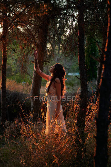 Full body of calm female in white dress standing at tree trunk in dark woods in calm sundown light — Fotografia de Stock