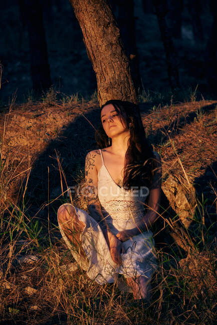 Full body of calm female in white dress standing at tree trunk in dark woods in calm sundown light — Photo de stock